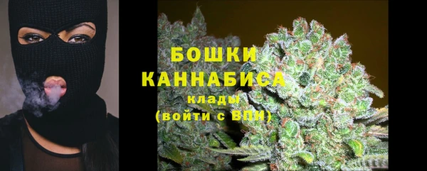 2c-b Белокуриха