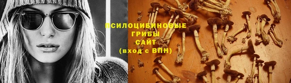 2c-b Белокуриха