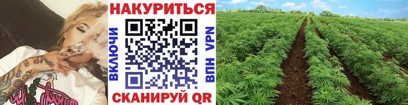 маркетплейс телеграм  Пыть-Ях  МАРИХУАНА тримм 